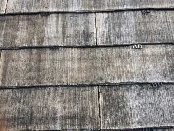 IMG_3274-columns2