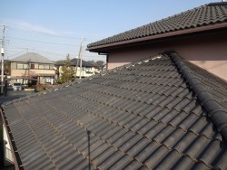 s-IMG_8720-before
