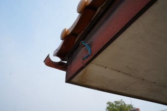 sDSC00730-columns2