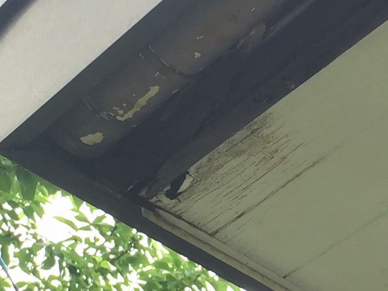 伊勢崎市にて玄関上の屋根から雨漏りのお見積りに伺いました