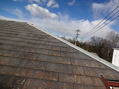 高崎市綿貫町スレート屋根の現場調査、屋根のコケはメンテナンスサイン
