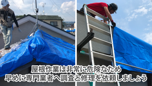 屋根作業は非常に危険なため早めに専門業者へ調査と修理を依頼しましょう
